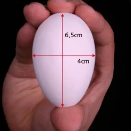Electric Silk to Egg 3