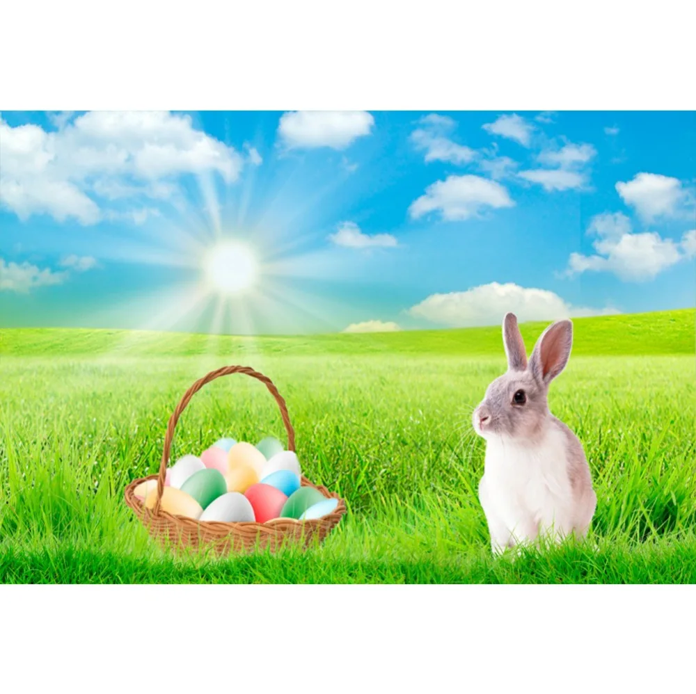 

Laeacco Easter Day Grassland Bunny Eggs Blue Sky White clouds Natural Scene Photo Backdrop Photographic Photo Studio Backgrounds