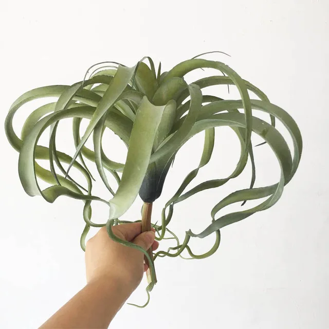 Bulbosa хлопок конфеты Детские Осьминог Искусственные Поддельные airplant тилландсия Capitata Steptophylla usneoid как настоящие растения суккулент