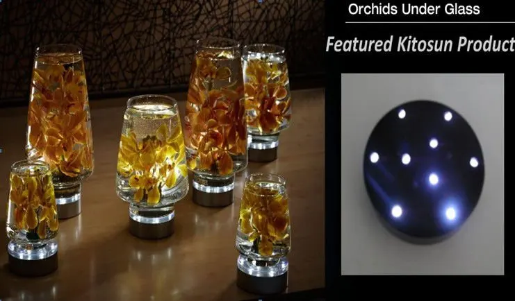 

10pcs/lot Battery operated decorative 4 inch wide 1.1inch tall fairy lights for wedding centerpice