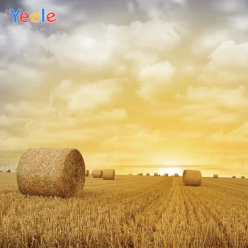

Yeele Hay Bale Wheat Harvest Summer Field Sunshine Photography Backgrounds Customized Photographic Backdrops for Photo Studio
