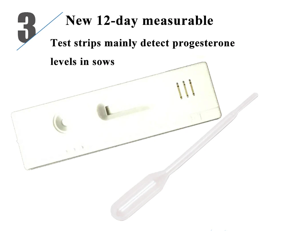 Pig Pregnancy Detection Livestock Supplies Sow Veterinary Veterinaria Farm Animals