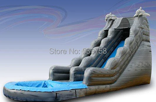 dolphinslide.jpg