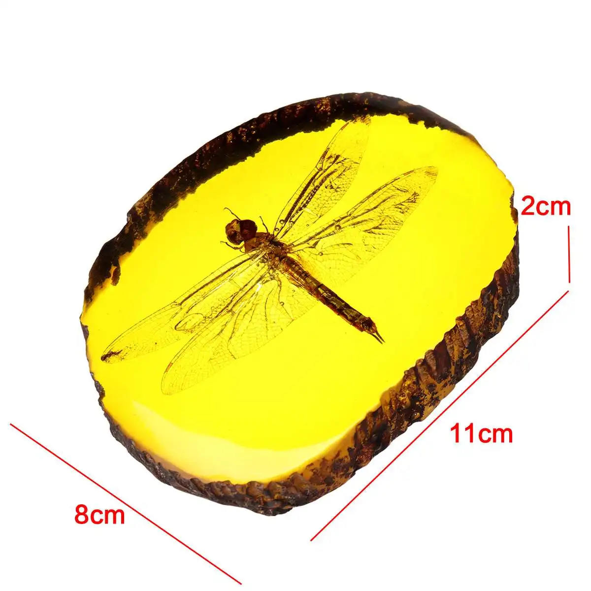 Натуральный Янтарный Стрекоза насекомое ручной полировки украшения DIY Орнамент Ремесло подарок украшение дома