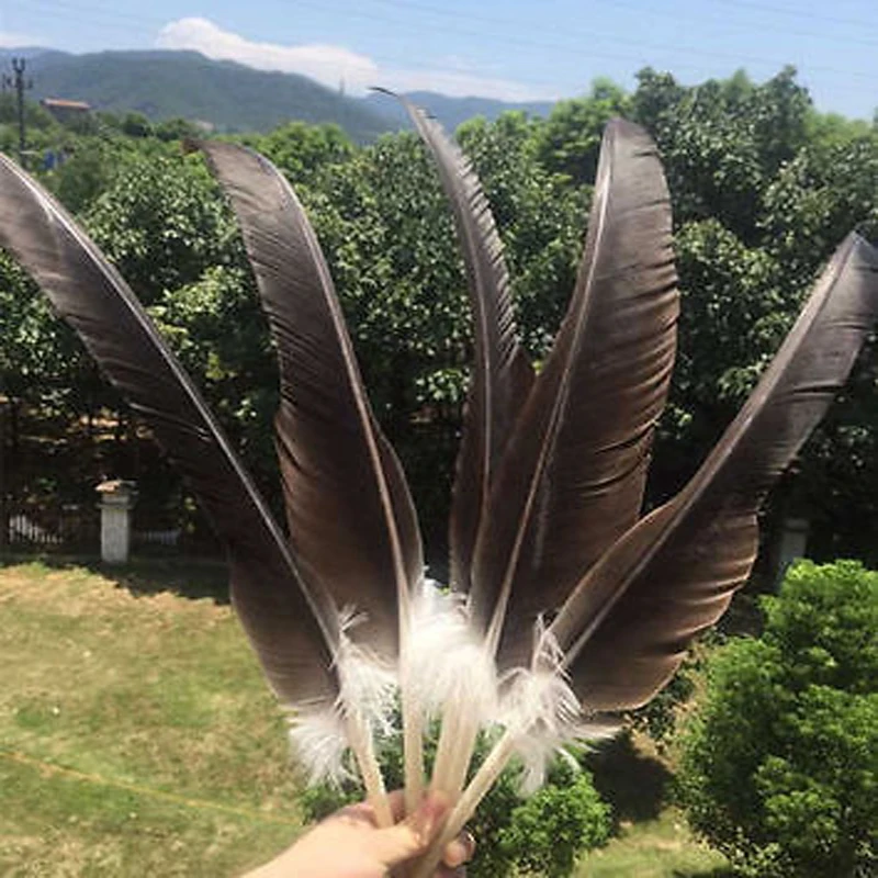 Beautiful! 10 PCS Rare and precious natural feathers 20 22 inch/ 50 60