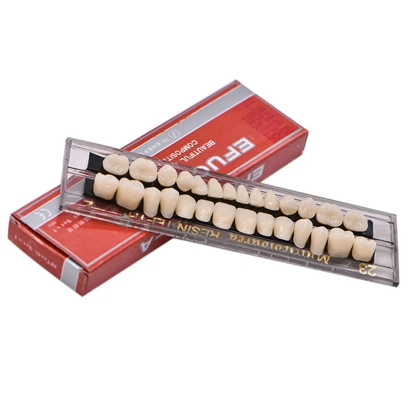 

28pcs/set Resin Teeth Model for Teaching Durable Dentures Colors Tooth Shade Guide Teeth Model Teach Dental Materials Retail Box