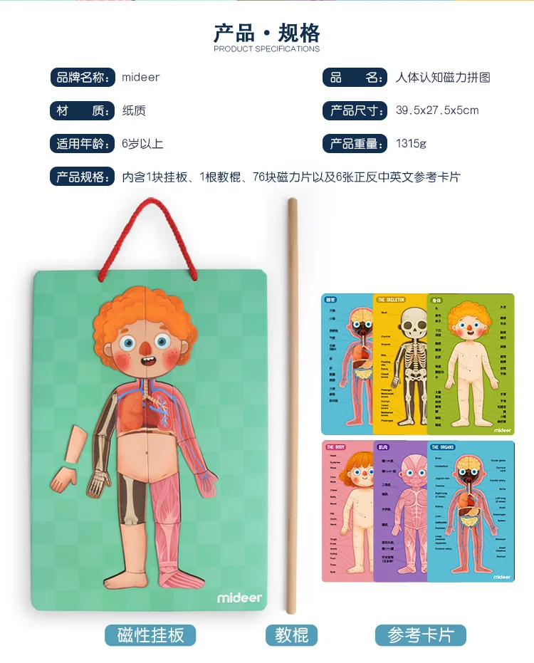 Mideer 84 шт. 4 слоя тела магнит головоломка игрушки мальчик девочка тело познание китайская и английская версия детские игрушки подарки