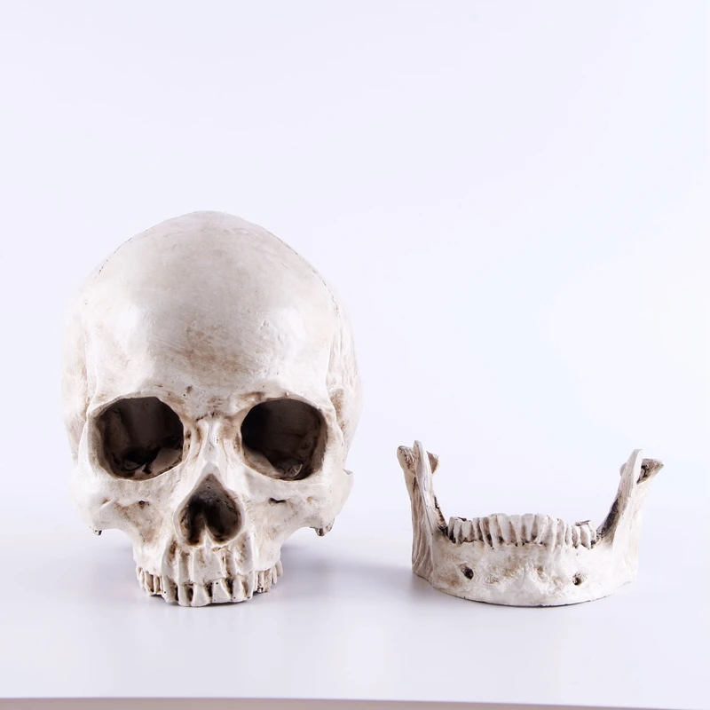 Череп человека Модель 1:1 медицинская Смола череп человек голова форма скелет Хэллоуин домашний череп украшение статуи скульптуры