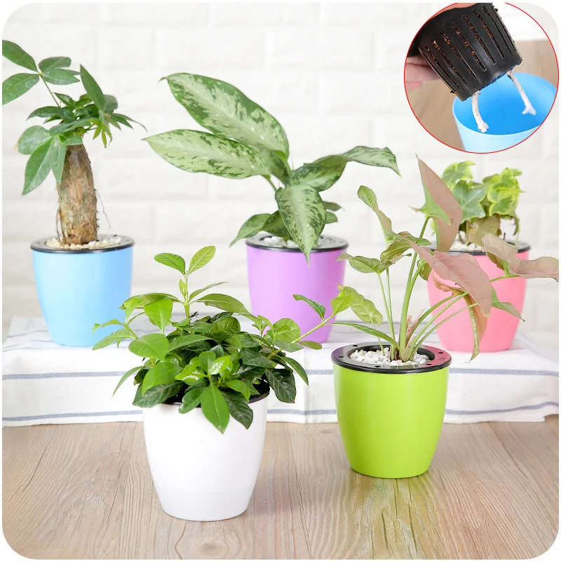 

Home Plant Flower Pots Plastic Starting Two-Tone Universal Soft Flowers Nursery Seeds Storage Pots Container Garden Decoration
