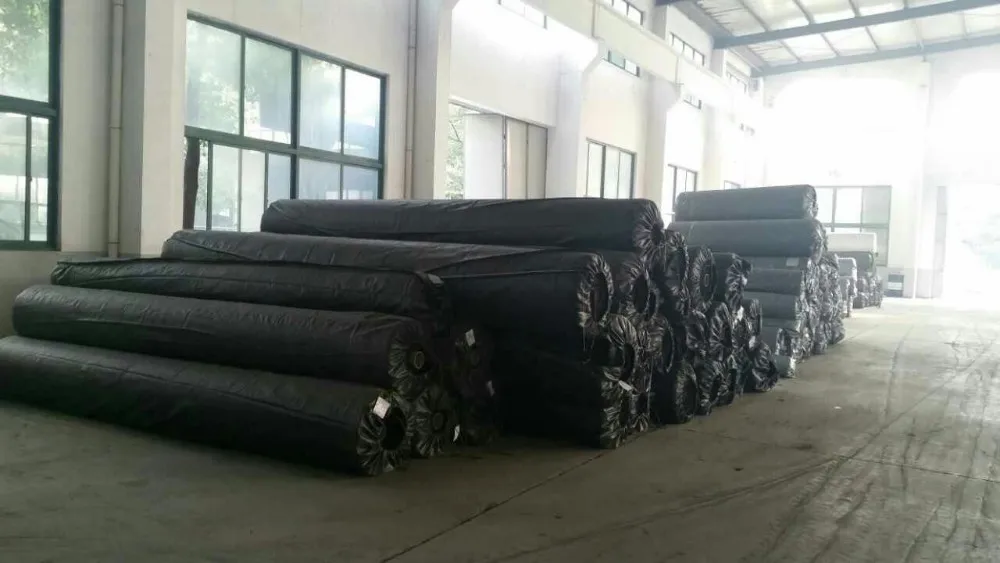 mmexport1420856261332