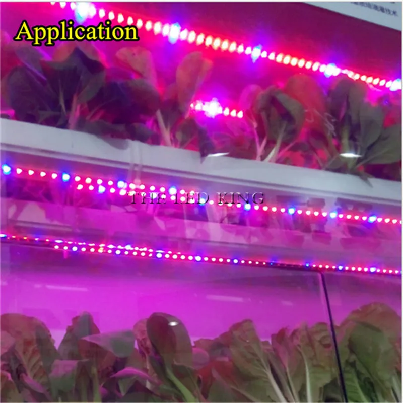 온실 수경 식물 재배용 LED 성장 조명, 전체 스펙트럼 LED 스트립, 5050 LED 꽃 식물 식물 성장 램프, 1M, 4M, 5M