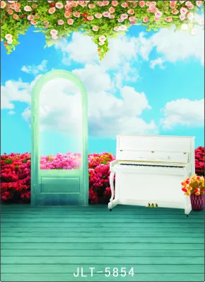 

300cm*300cm Vinyl Custom Photography Backdrops Prop Digital Photo Studio Background  S-5854