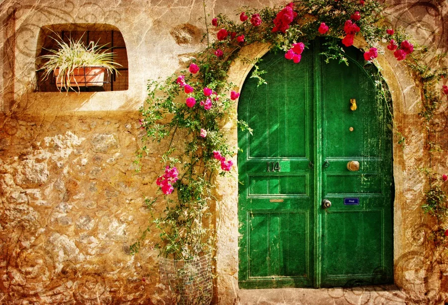 

Laeacco Old Stone House Arch Door Flowers Rattan Photography Background Customized Photographic Backdrop For Photo Studio