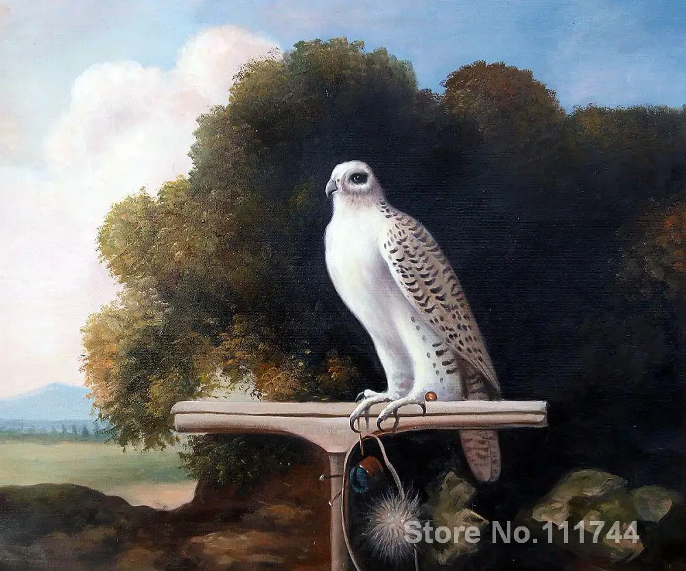 

Birds art Greenland Falcon George Stubbs painting High quality Hand painted