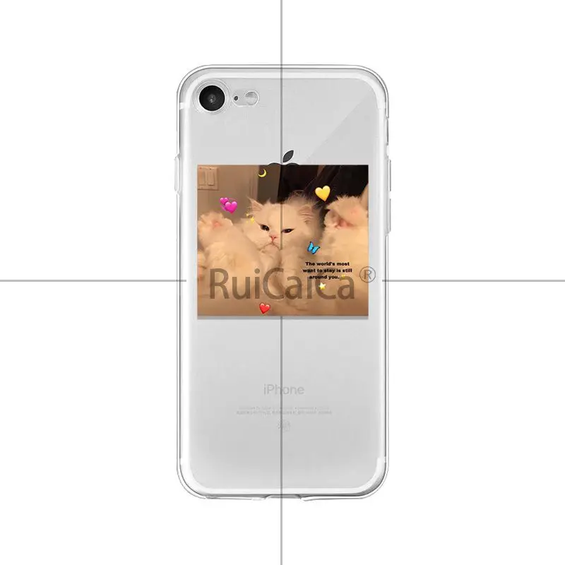 super cute cat dog cartoon pink Heart-shaped YOU&ME series
