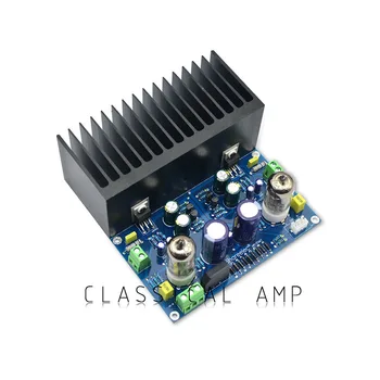 

Fever Class 6J1 LM1875 Tube Amplifier board Brain Machine Vacuum Tube Kit