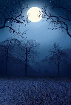 

Foggy forest Photography backdrops Halloween kids forest photography backgrounds For Photography Studio photocall accessories