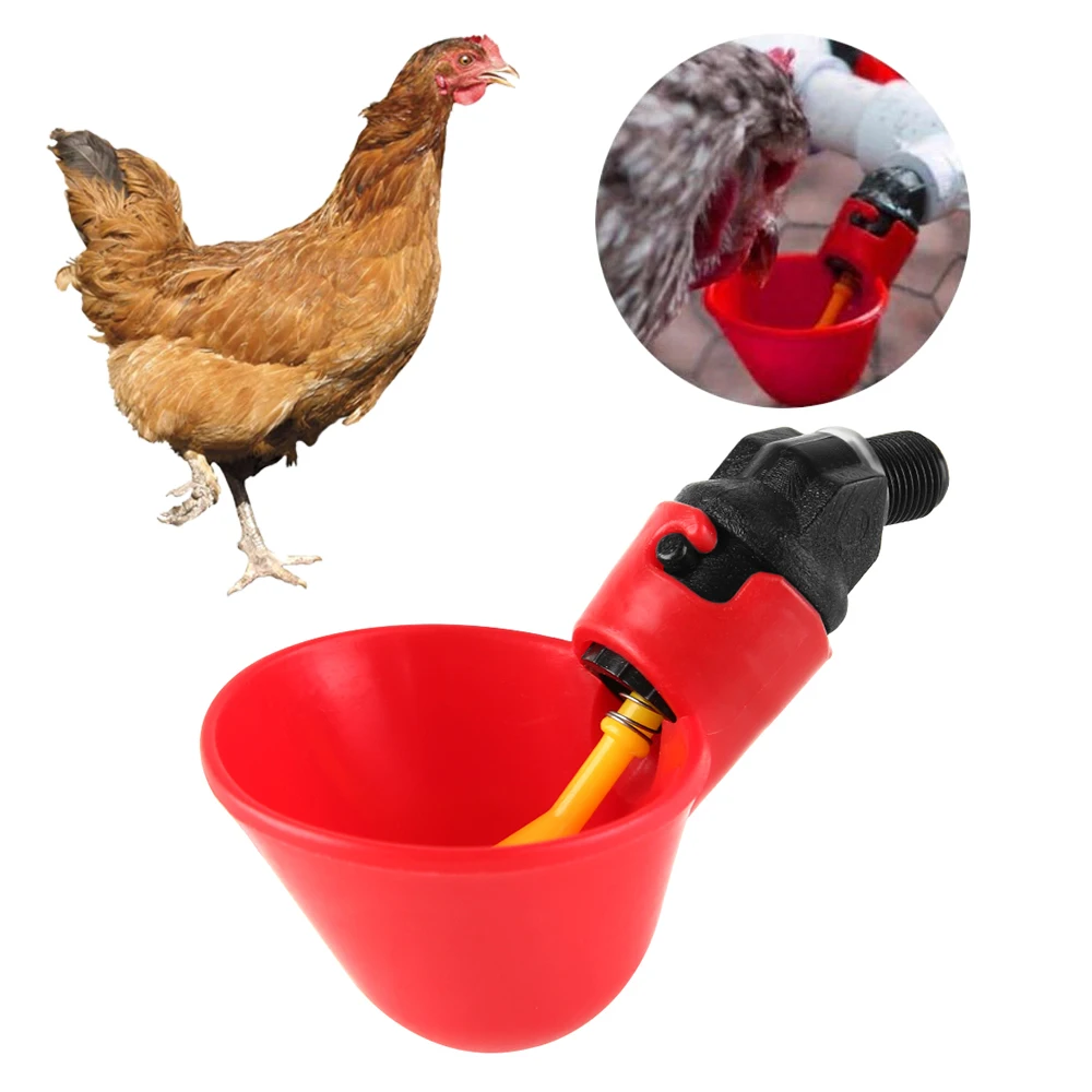 Pet Bardaktan Horoz Yapımı Pet Bardaktan Horoz Yapımı