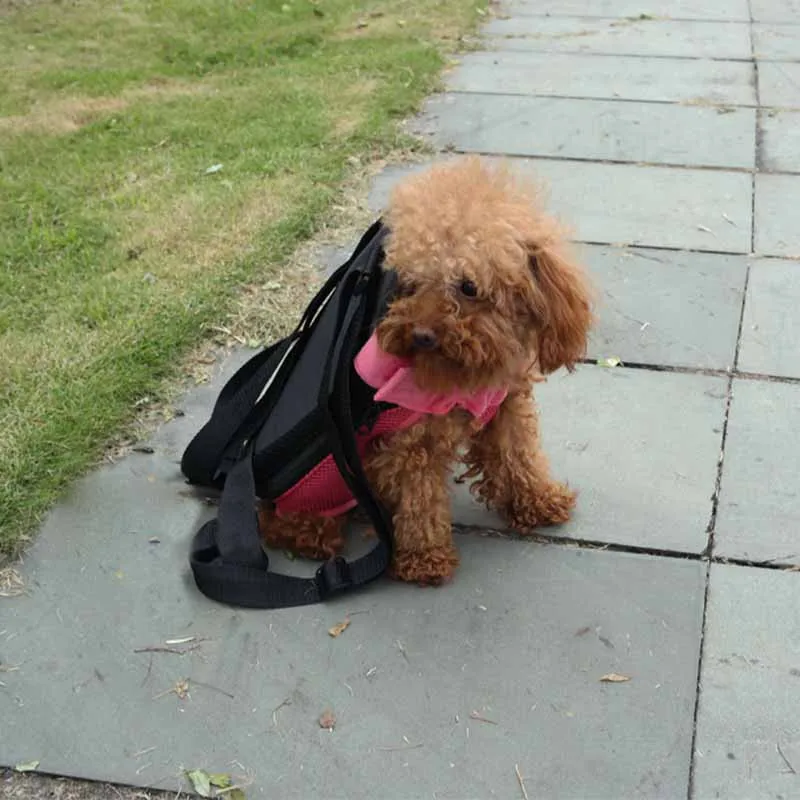 2016 New Pet Backpack Puppy Dog Carrier for Dogs Breathable Mesh Small Dog Travel Shoulders Bag Pet Outdoor Supplies Wholesale21