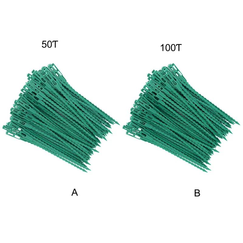 RL0991 (7)
