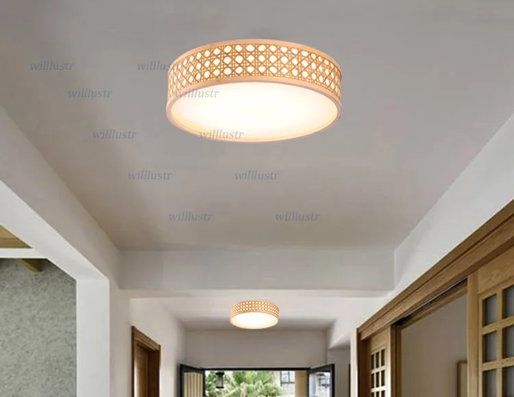 ceiling light (4)