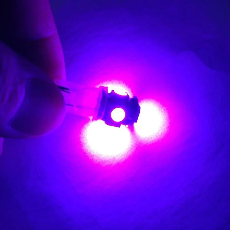 8083966375_252949302