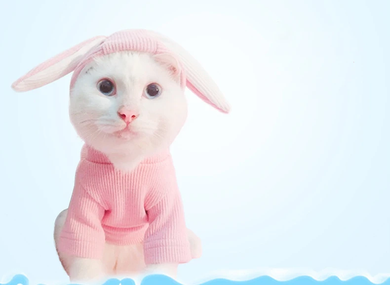 Rabbit Ear Pet Hoodies Spring Summer Funny Dog Cat Clothes Lovely Knitted Sweater For Small Dogs Cats Puppy Chihuahua Kitten (1)