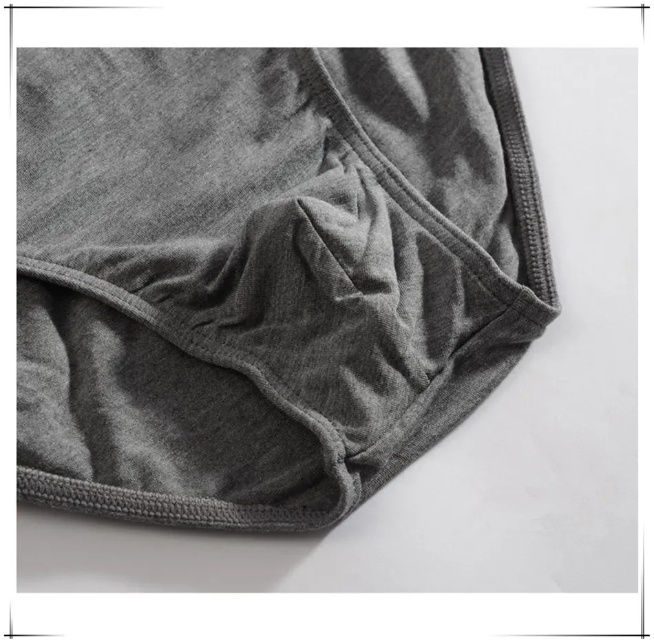mens briefs underwear male2