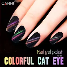 CANNI Chameleon Cat Eye Gel Bulk Package Nail Polish 1000ml Soak Off UV Gel Magnet Pen Nail Gel Polish