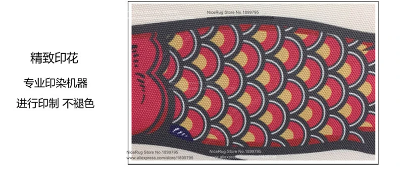 ML039-3fish-4050 5