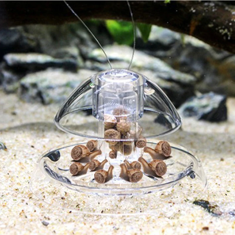 Festnight Plastic Clear Snail Trap Free Bait for Aquarium Fish Tank Plants Planarian Leech Catch Nature Cleaner S/L Optional