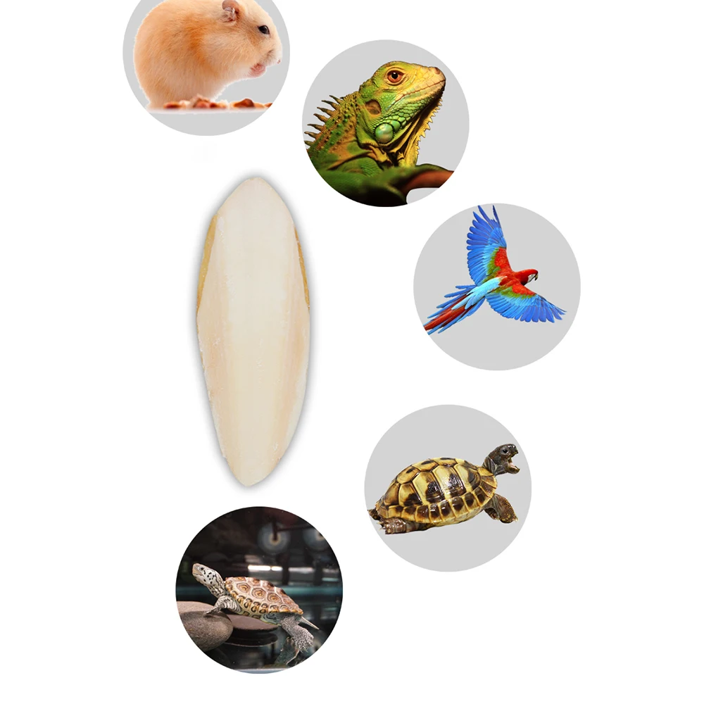 TB2xOWLsVXXXXc5XXXXXXXXXXXX_!!48394634