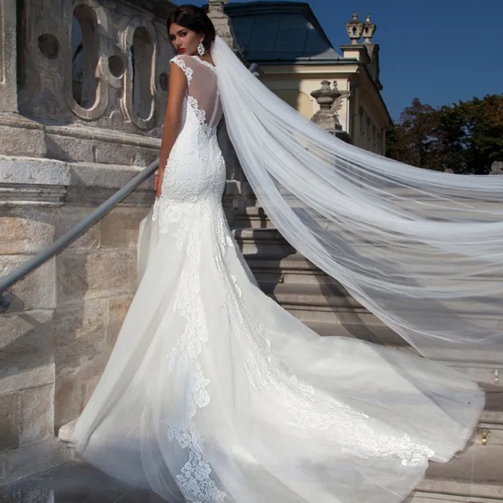 cathedral veil with long train