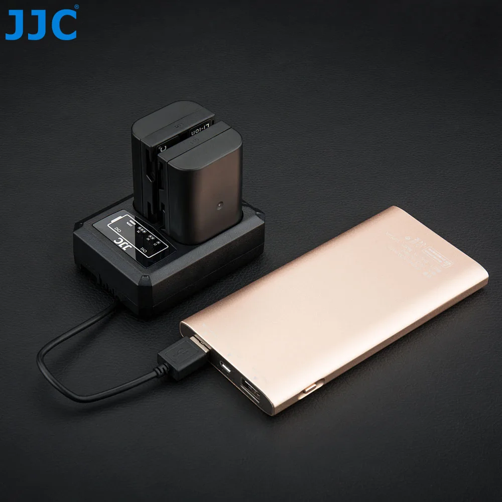 JJC USB Двойной аккумулятор зарядное устройство для Panasonic DMW-BLF19 DMW-BLF19e Lumix GH5S G9 GH5 GH4 GH3 заменяет DMW-BTC13 DMW-BTC10