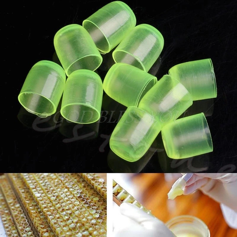 

1000PCS Beekeeping Cell Cups Royal Jelly Cups Set Queen Bee Rearing Equipment Drop Shipping