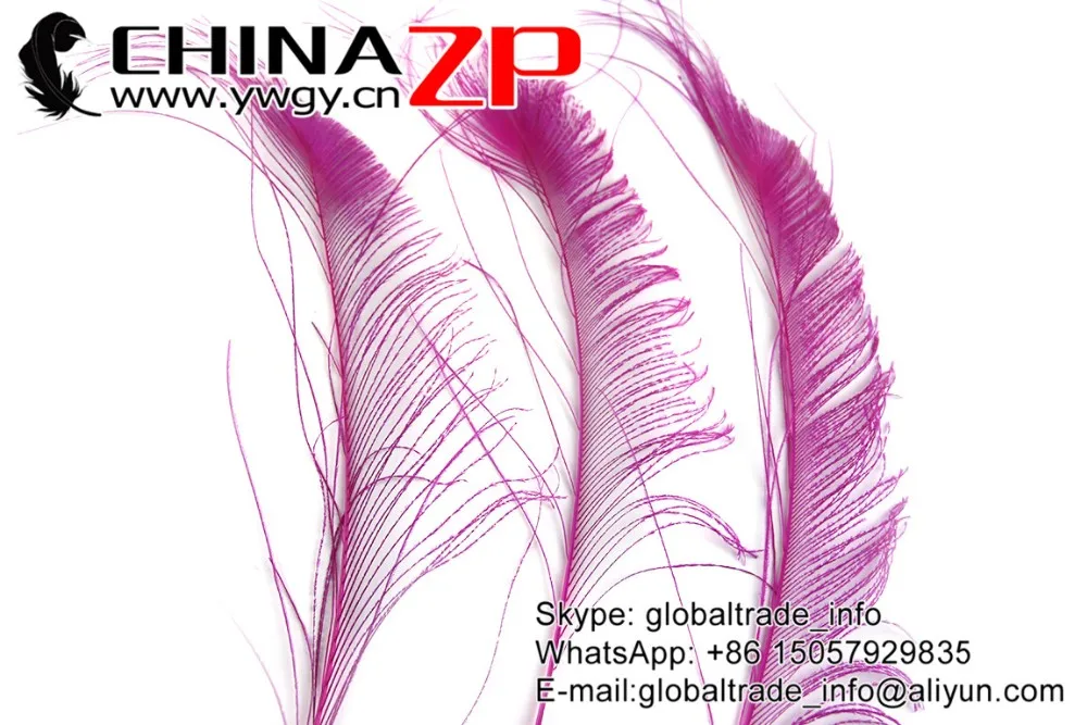 Hot Pink Peacock Sward Cut Feathers (12)