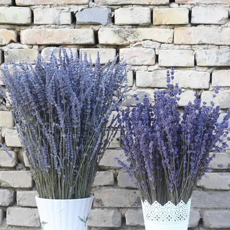 TB1c0_kSpXXXXbtaFXXYXGcGpXX_M2