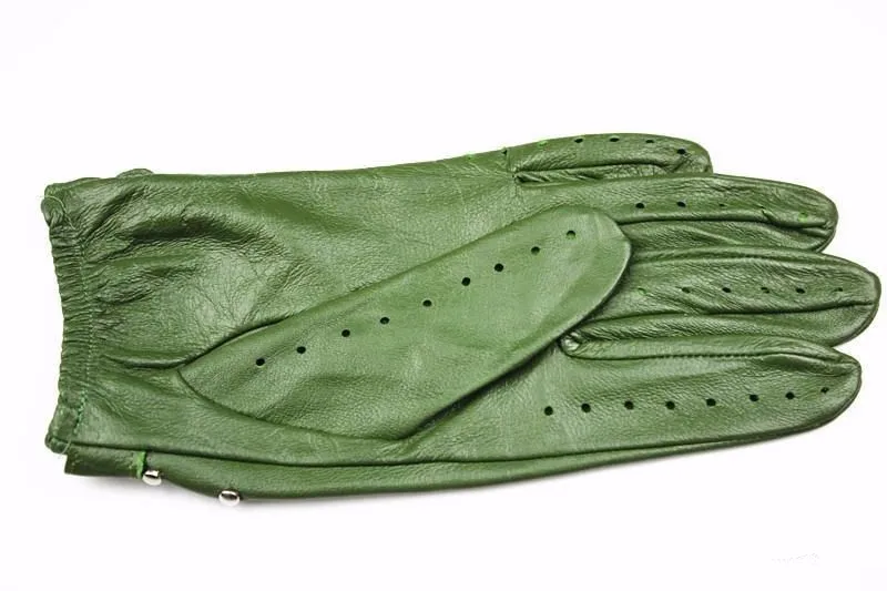 HTB1qlsbQXXXXXbLXXXXq6xXFXXXn