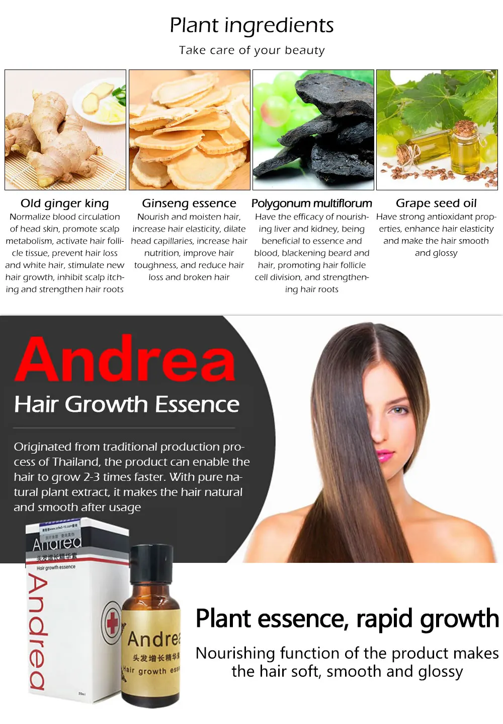 Andrea-(1)_02