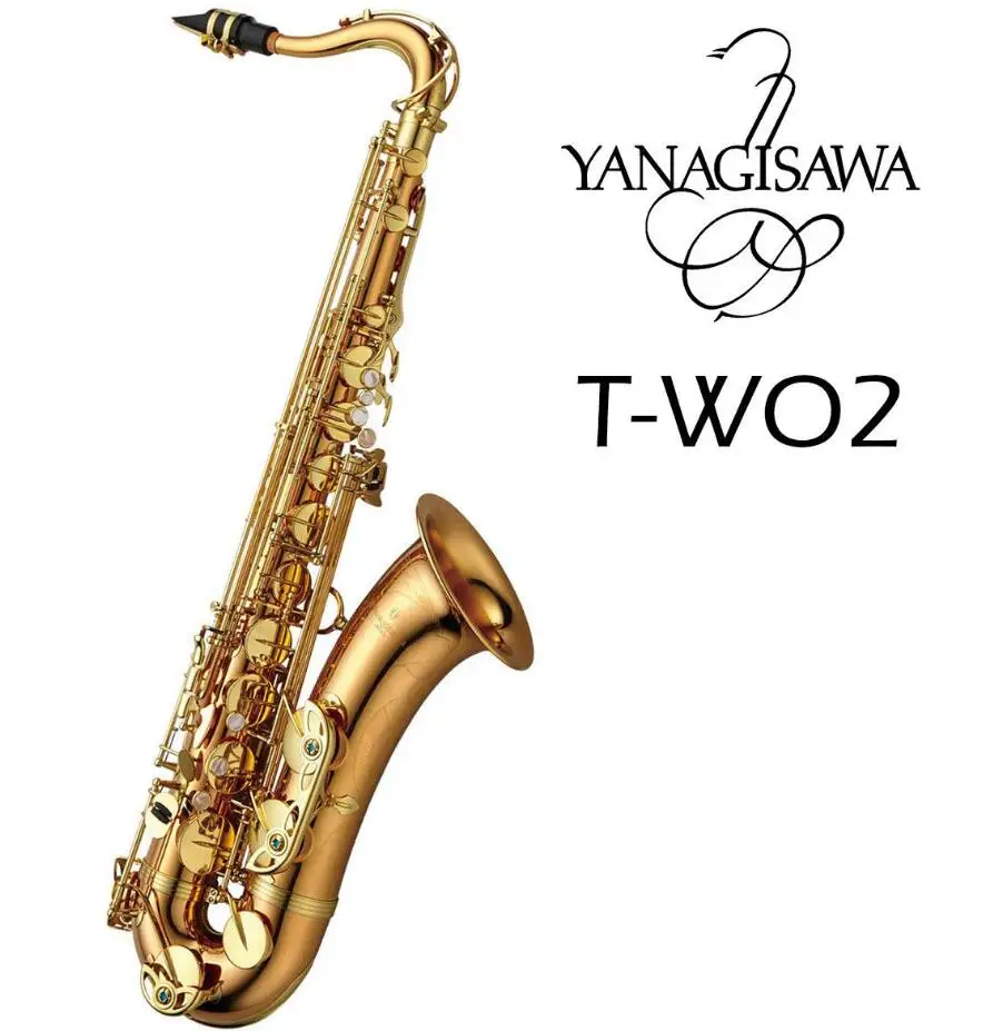 Brand New YANAGISAWA Tenor Saxophone T W02 Professional Bronze Brass