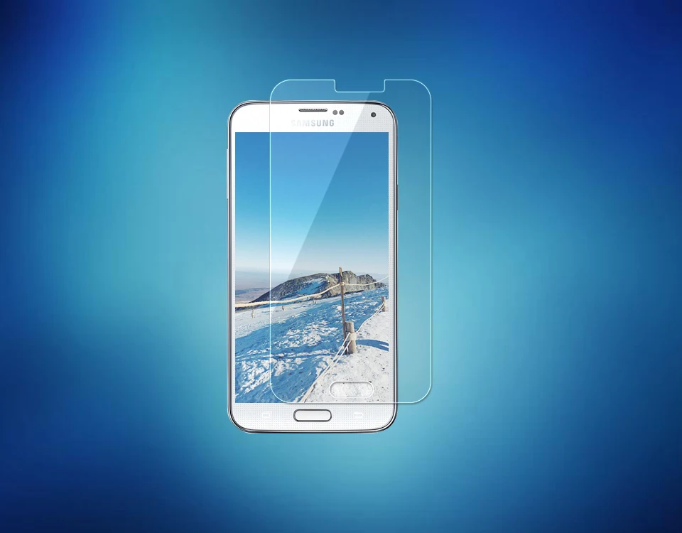 S5(1)