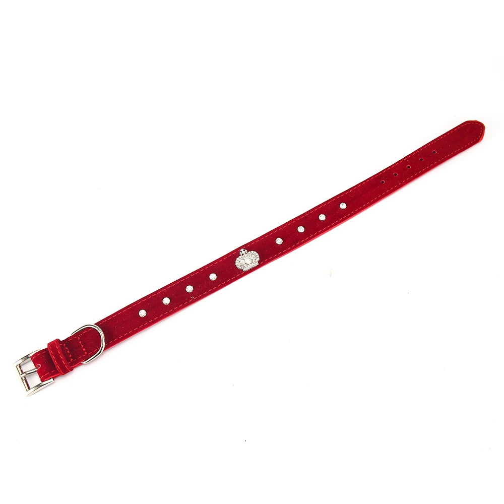 Pet Products Dog Collar For Dogs Small Cat Dog Collar Lead Harness Leash Puppy Solid  Cats Collars Chihuahua Supplies Accessories PQ013 (1)
