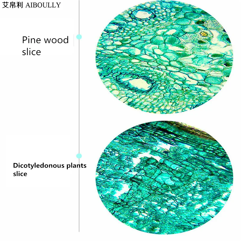  AIBOULLY Biological Microscope Zoom 1600 Times Animal and Plant Blood Analysis Instrument Student M