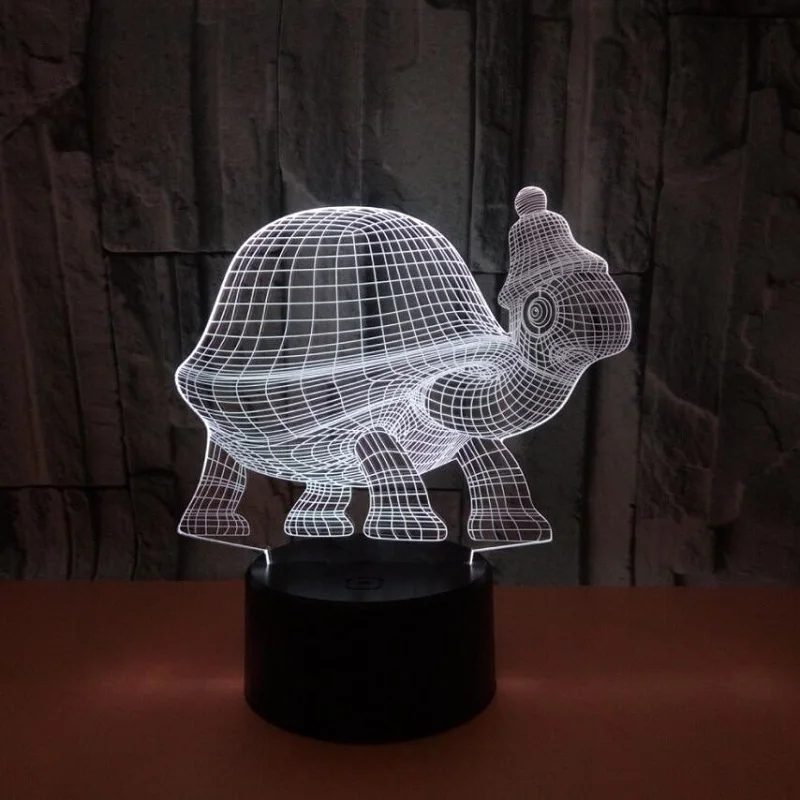 Tortoise6