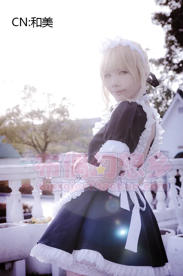 Fate Saber  coscosplay 260 (5)