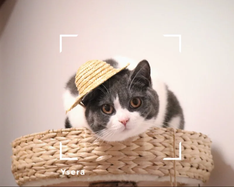 TB2guFrrypnpuFjSZFIXXXh2VXa_!!2844424448