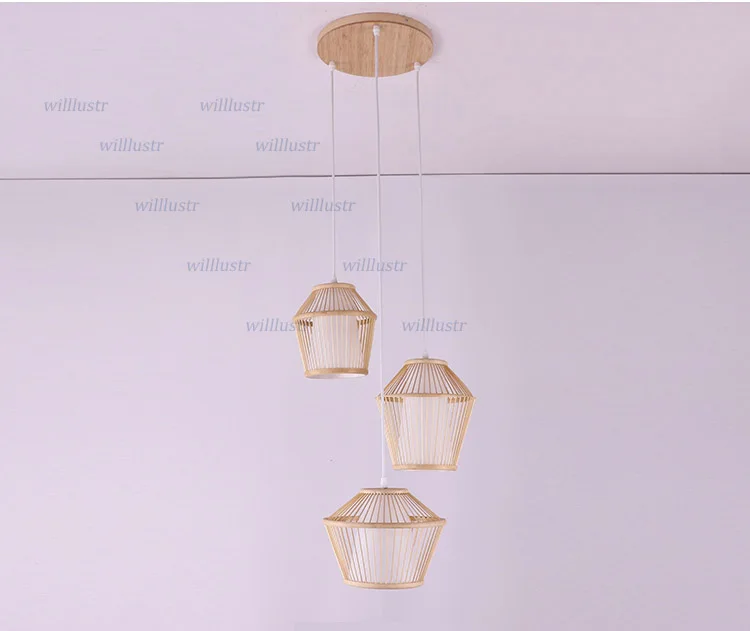 pendant light (2)