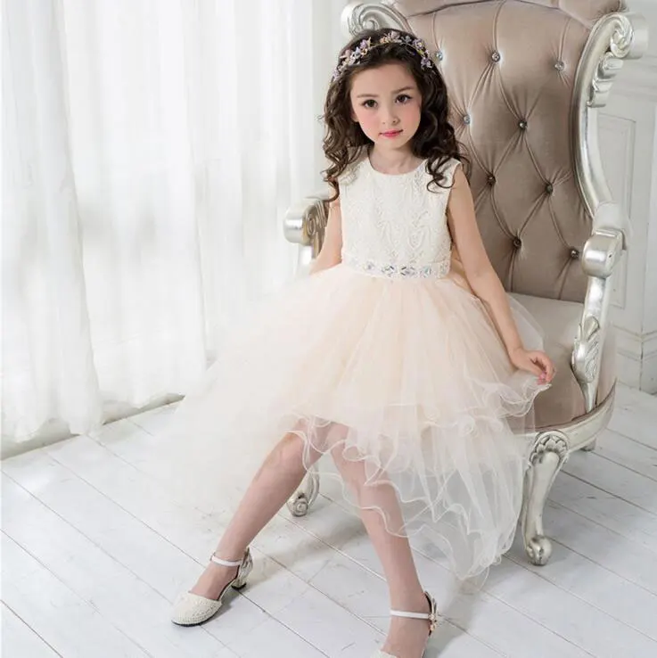 

Flower Girls Dress Spring 2017 Girl Children Clothing Brand Clothes Kids Dress for Princess Holiday Party Wedding Toddler Autumn