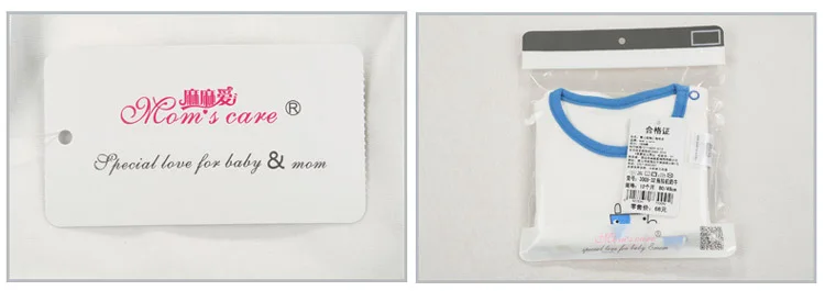 3091651336_809576626