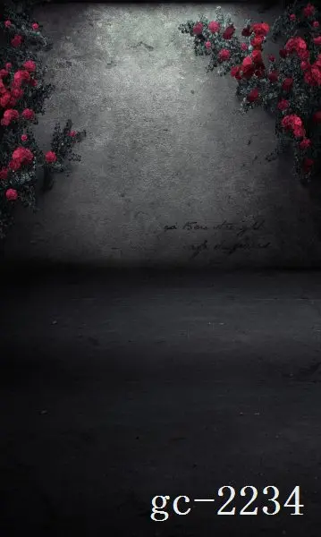 

5x10ft Vinyl Custom Photography Backdrops Props Photo theme Backgrounds GC-2234